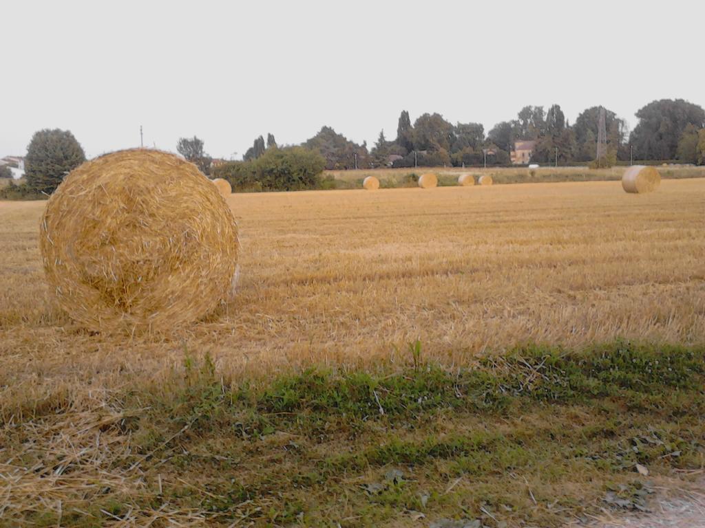 Green Fields Падуа Екстериор снимка